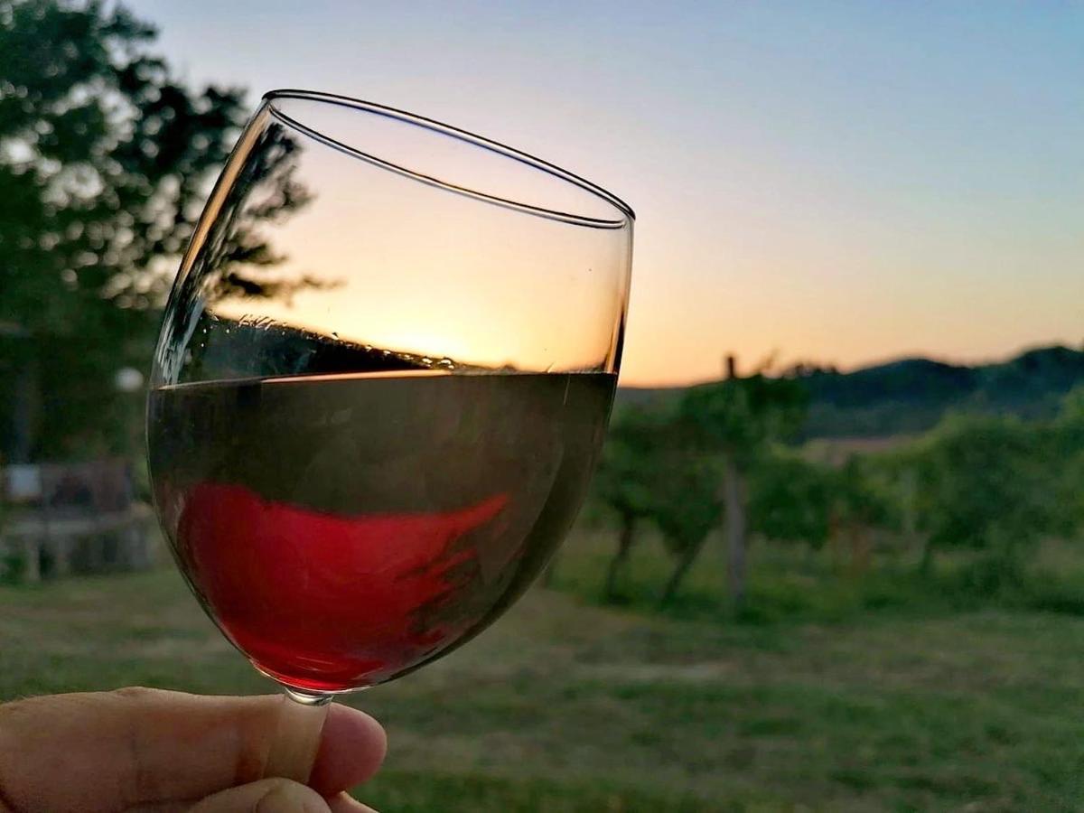 Podere Bellavista ซานจีมิญญาโน ภายนอก รูปภาพ