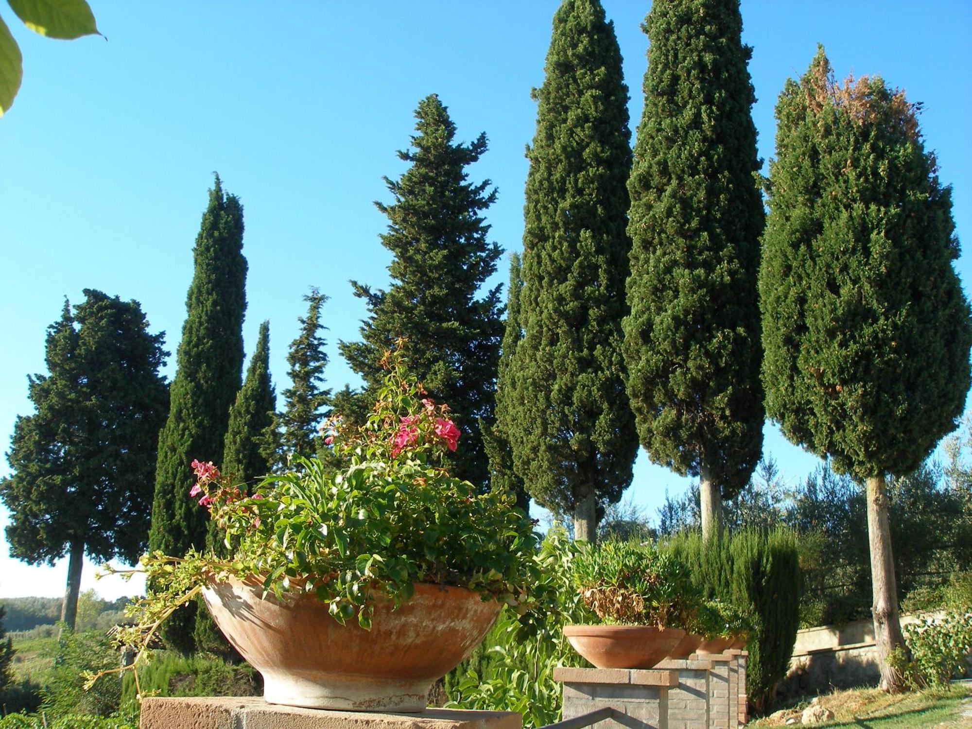 Podere Bellavista ซานจีมิญญาโน ภายนอก รูปภาพ