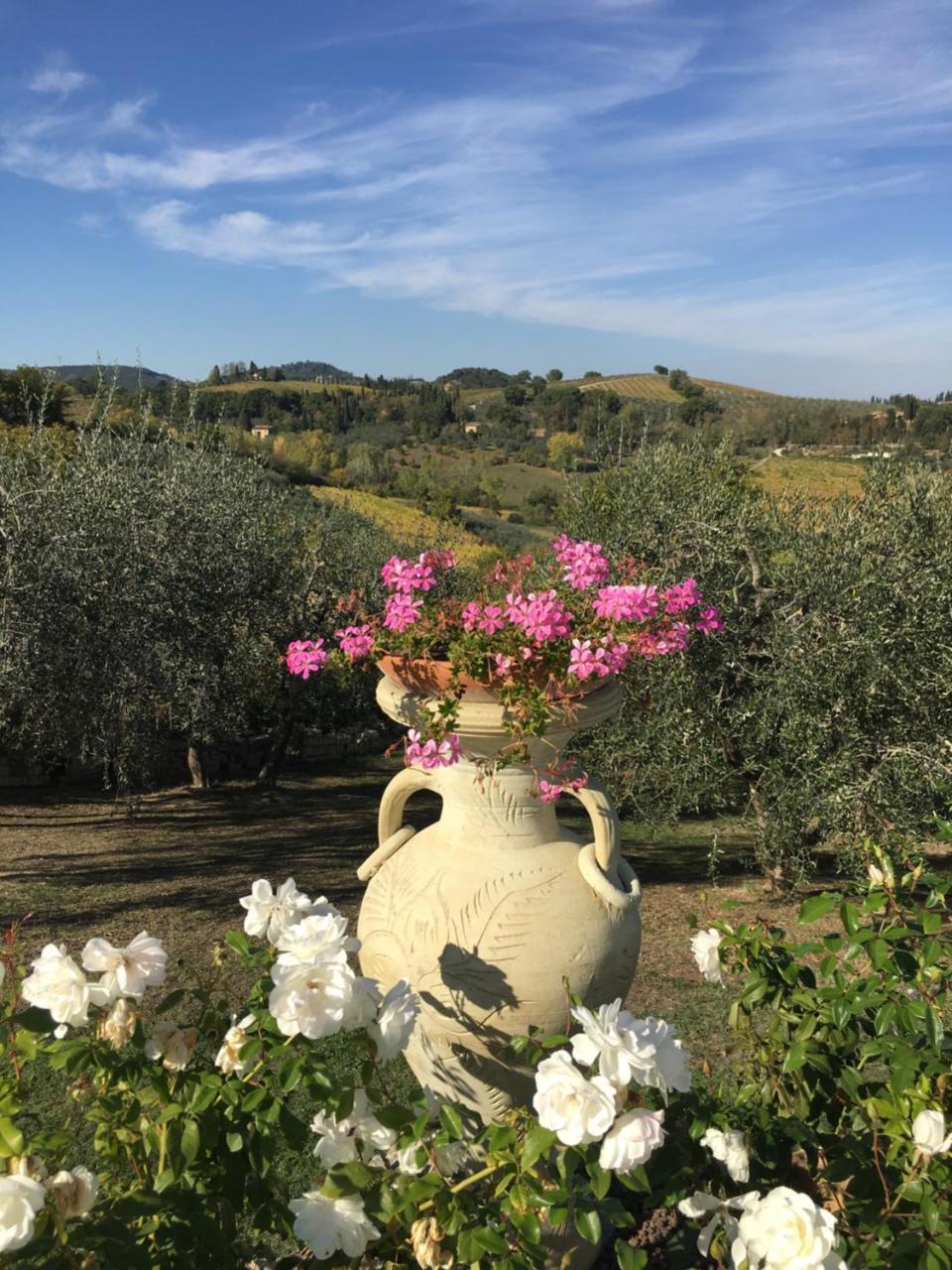 Podere Bellavista ซานจีมิญญาโน ภายนอก รูปภาพ