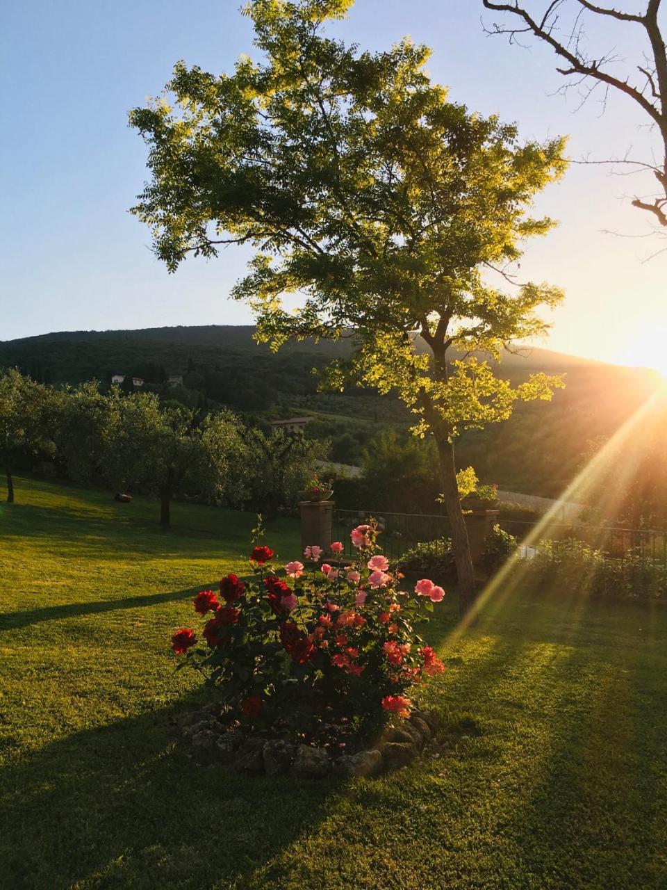 Podere Bellavista ซานจีมิญญาโน ภายนอก รูปภาพ