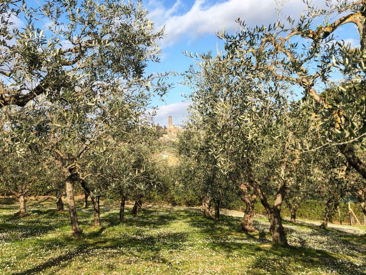 Podere Bellavista ซานจีมิญญาโน ภายนอก รูปภาพ