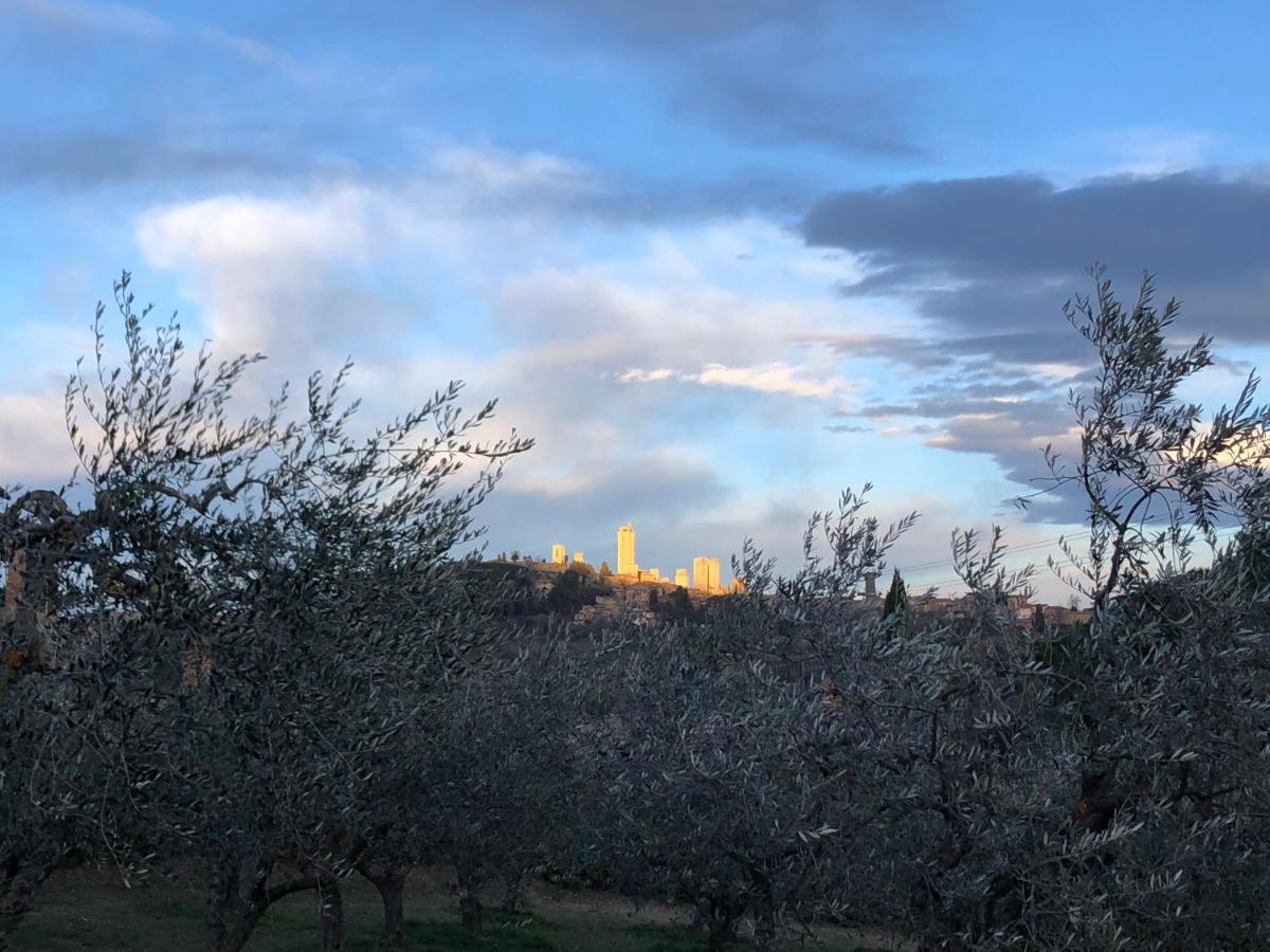 Podere Bellavista ซานจีมิญญาโน ภายนอก รูปภาพ